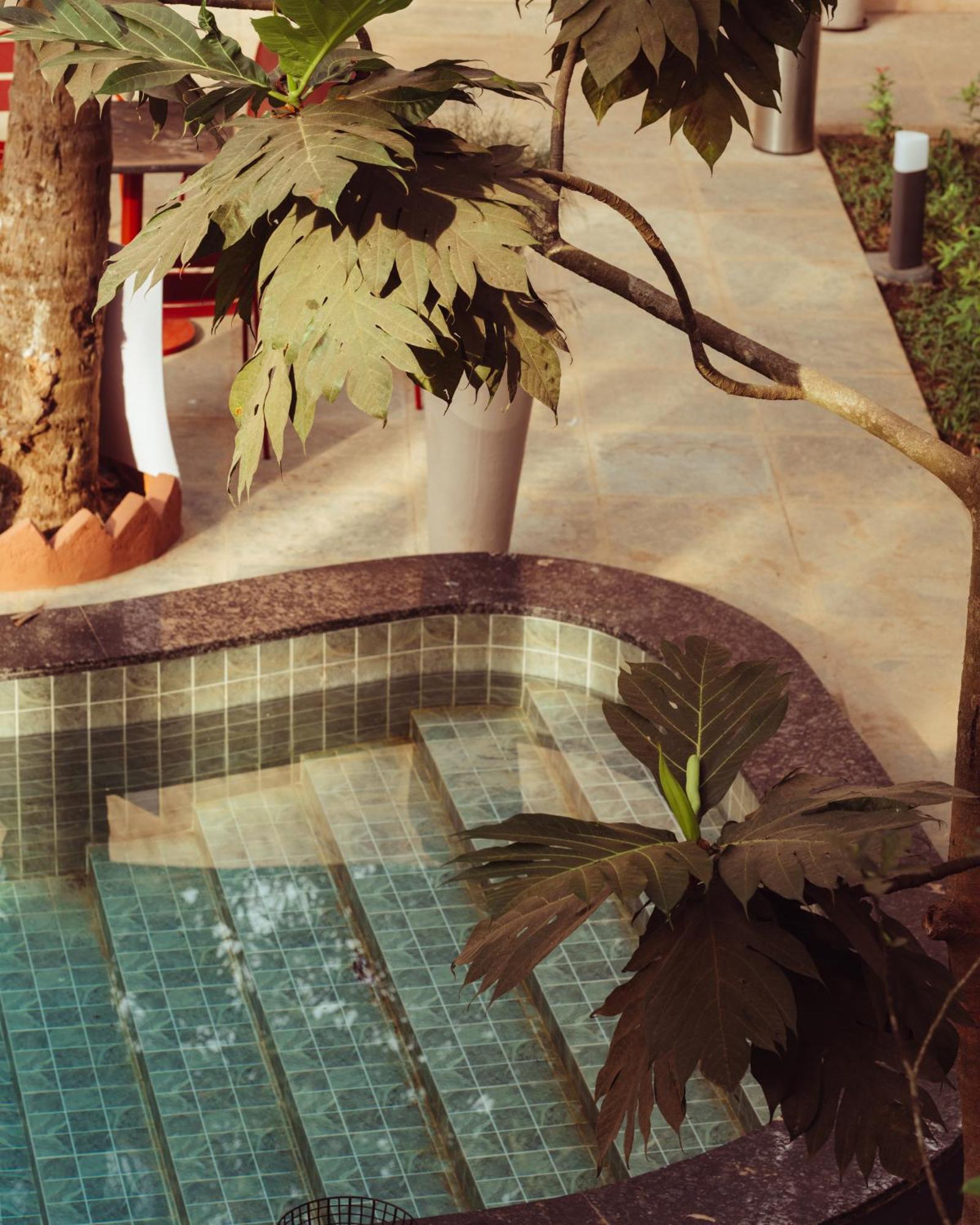Albergue Altr Nativ Morjim, Goa Exterior foto